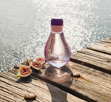 Aromatherapy Diffusers Gain Popularity in Home Wellness