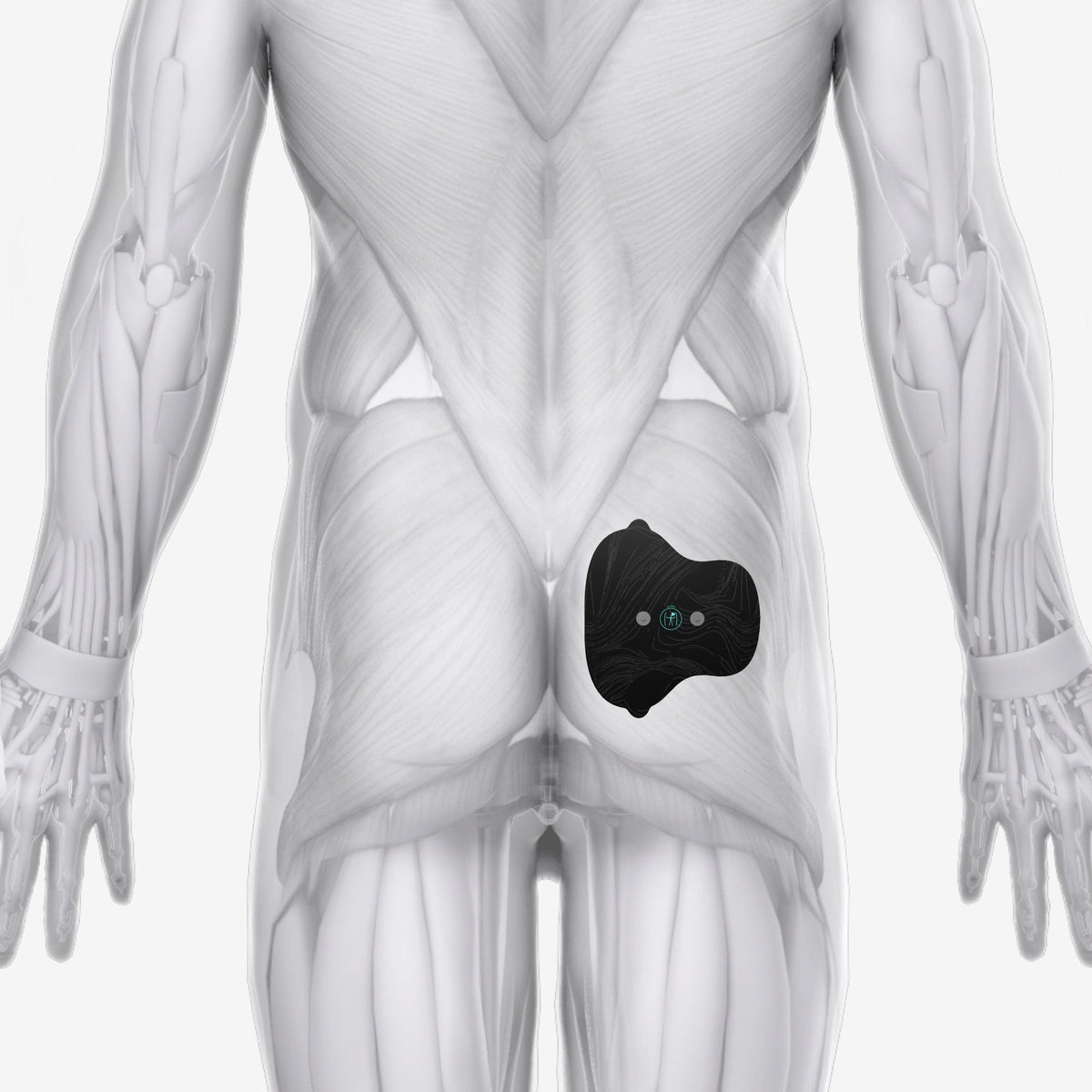 Chirp Halo Glute Pad Set for targeted glute muscle stimulation and recovery