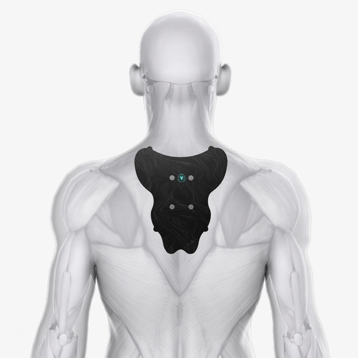 Chirp Halo Upper Back Pad positioned on upper back muscles for targeted relief