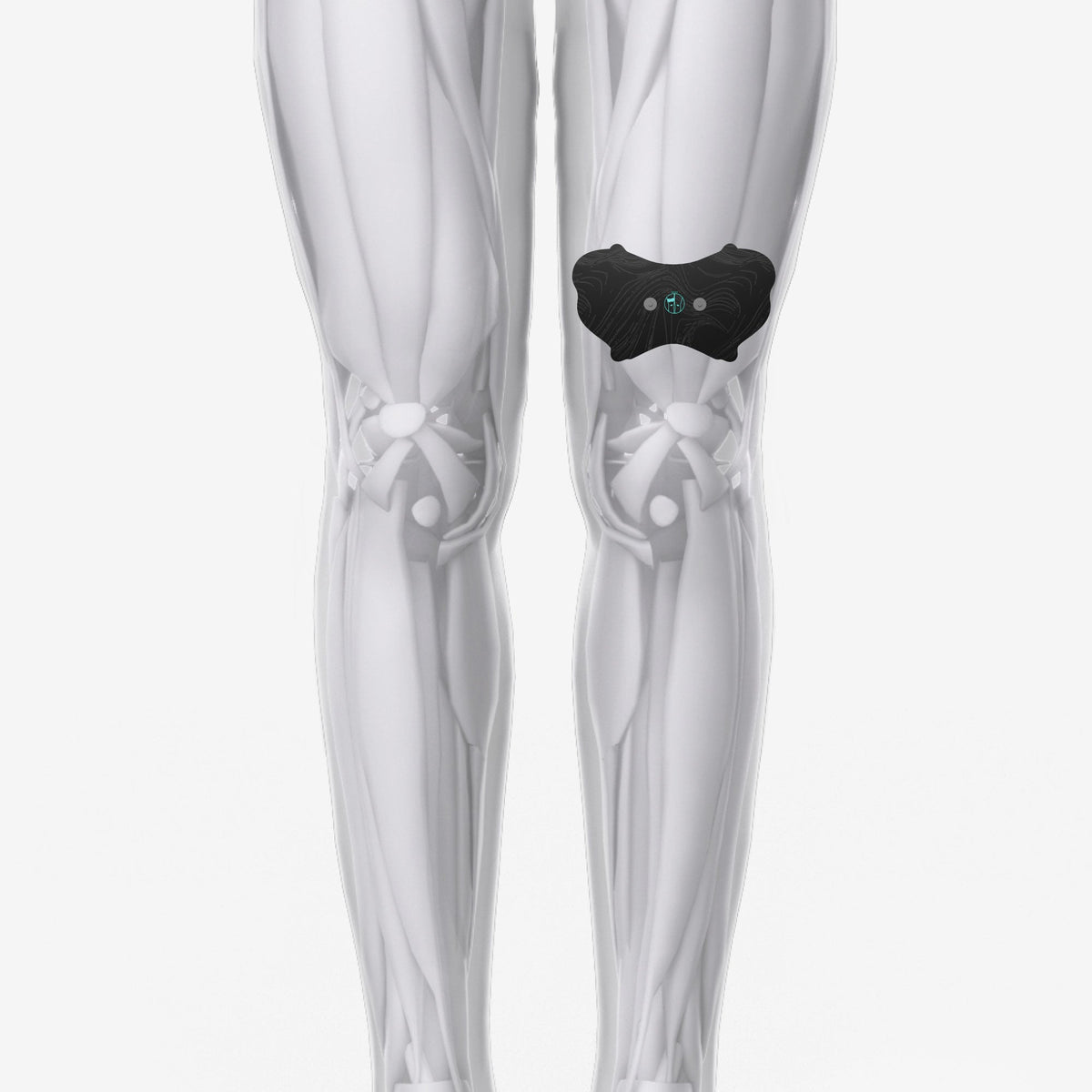 Chirp Halo Quad Pad Set replacement therapy pads for quadriceps muscles