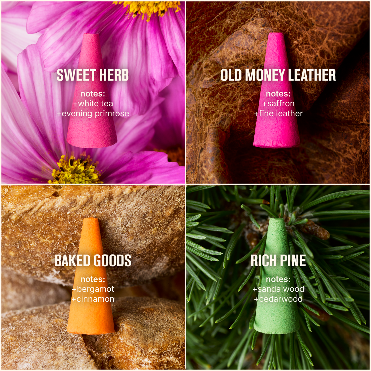 HOUSEPLANT by ripple⁺ Ash and Scent Set (Curated by Seth Rogen)