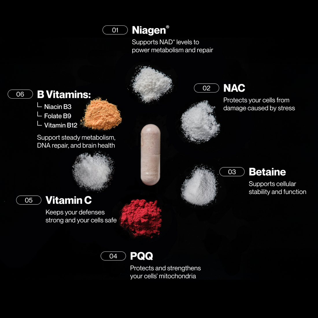 Momentous Longevity Cellular Health Formula | 90 Capsules — front product image
