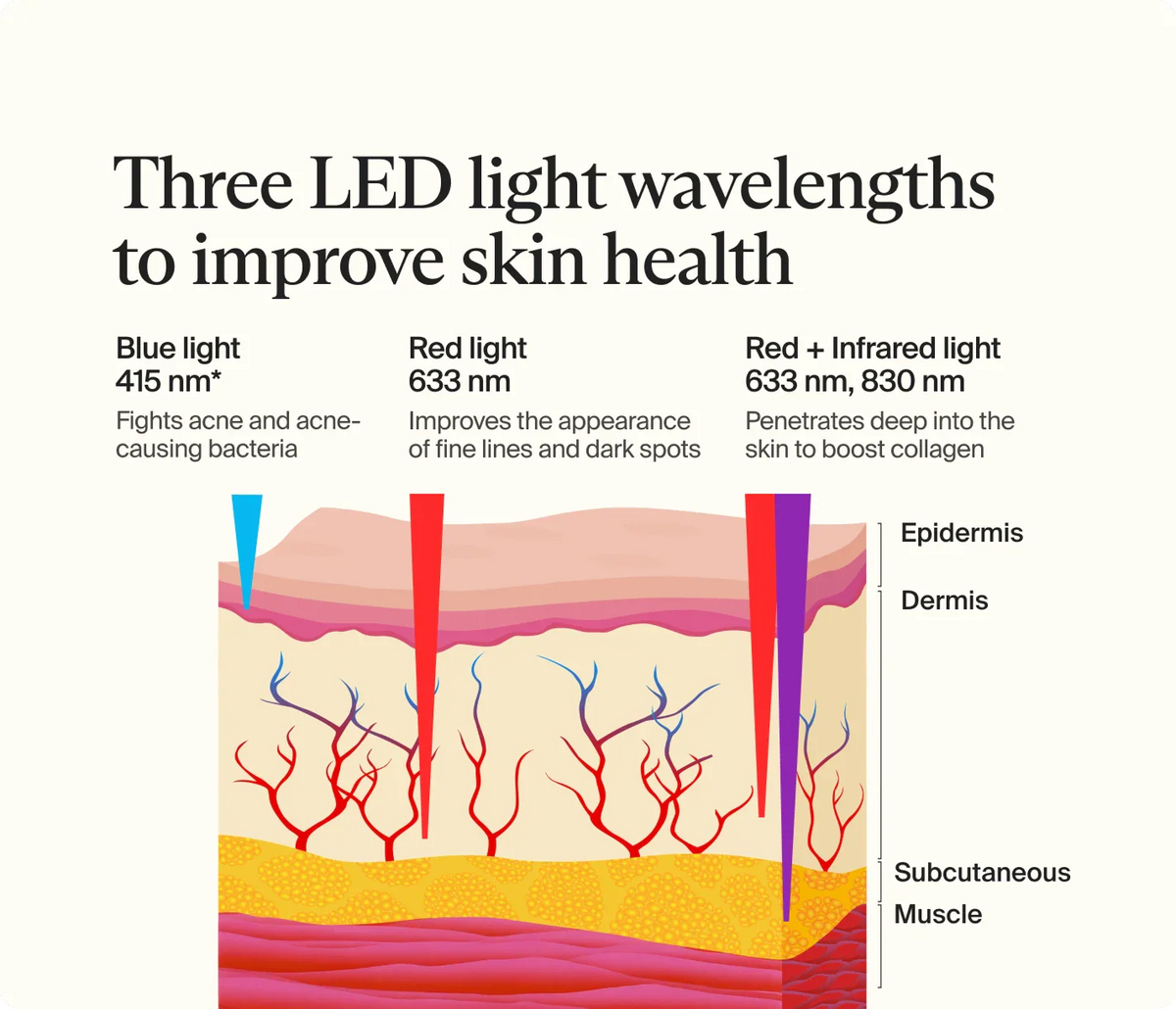 Diagram showing three LED light wavelengths for skin health with labels and a cross-section of skin layers.
