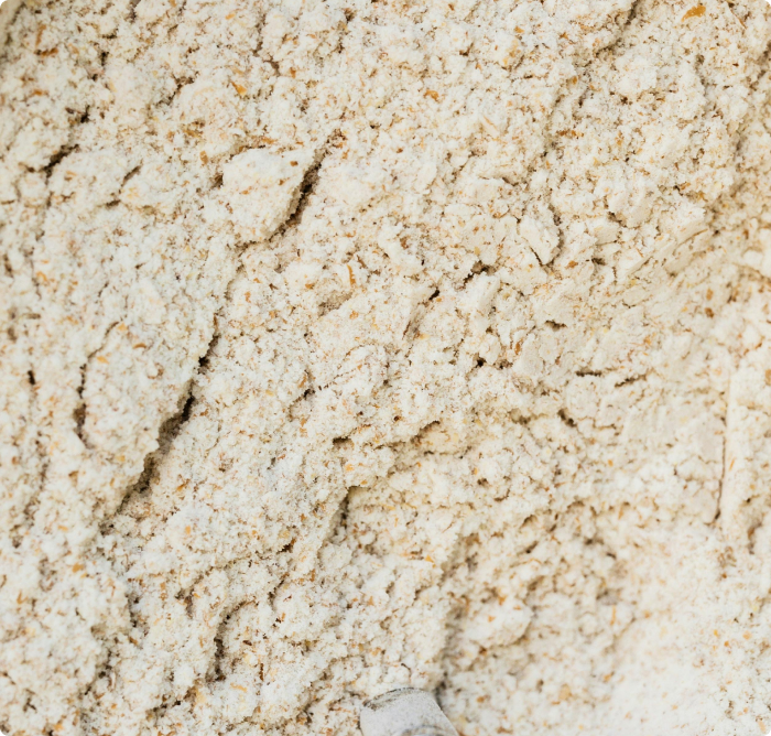 Prebiotic fiber