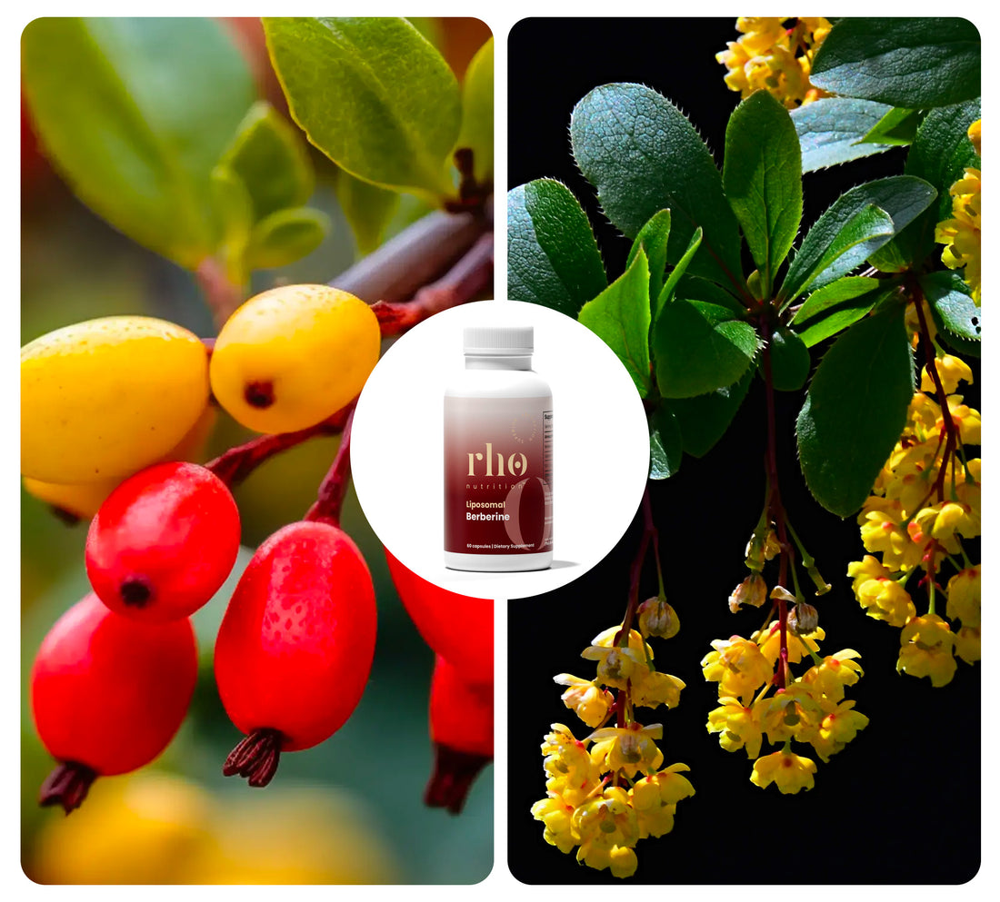 Rho Nutrition Liposomal Berberine 60 Servings