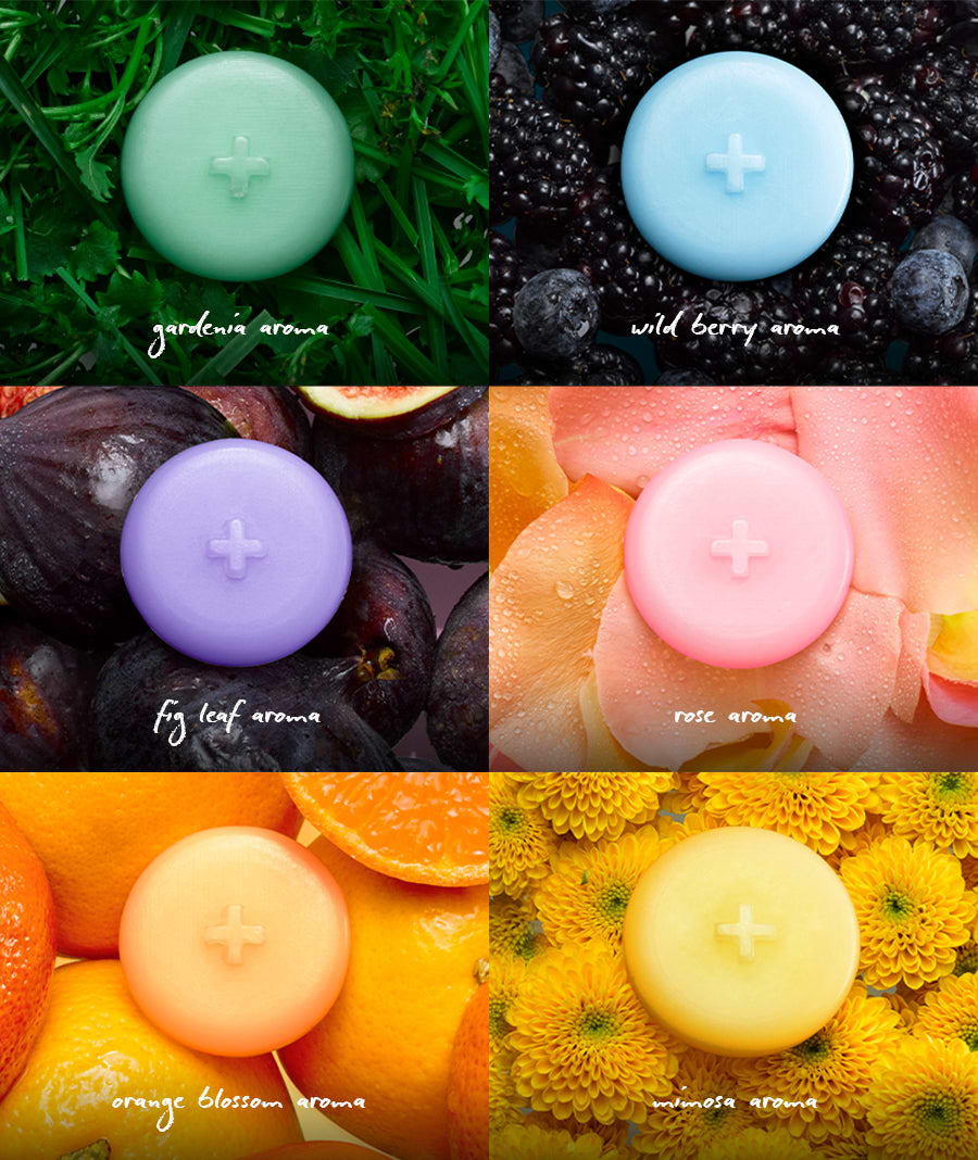 ripple⁺ Scented Wax Melts