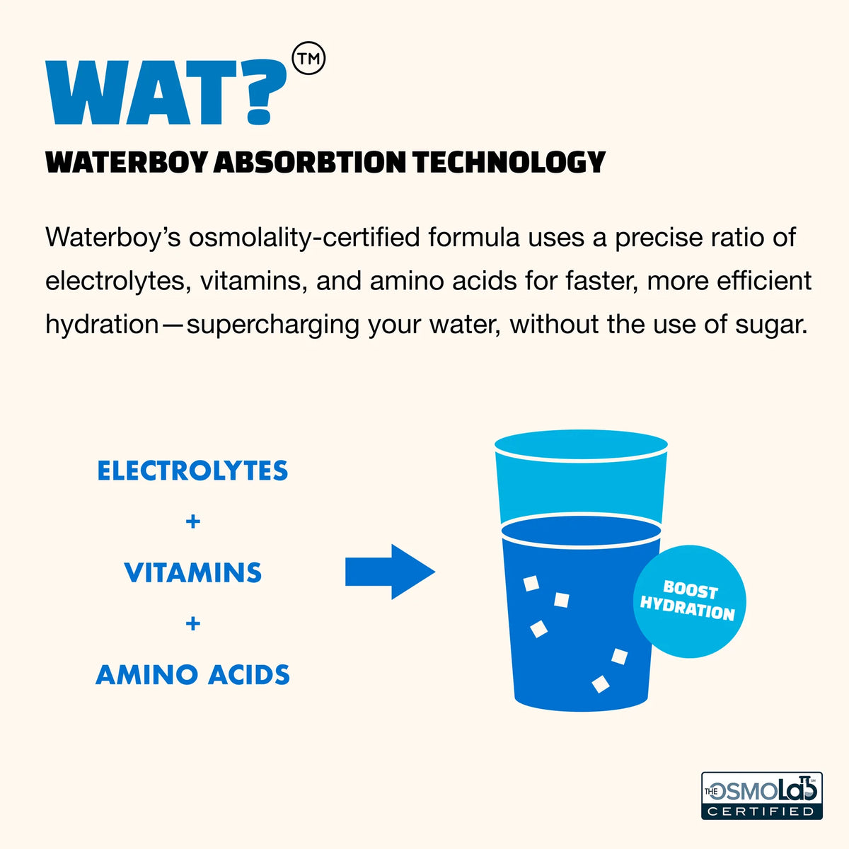Waterboy Weekend Recovery Electrolyte Drink Mix - 8 Sticks (Blue Raspberry)