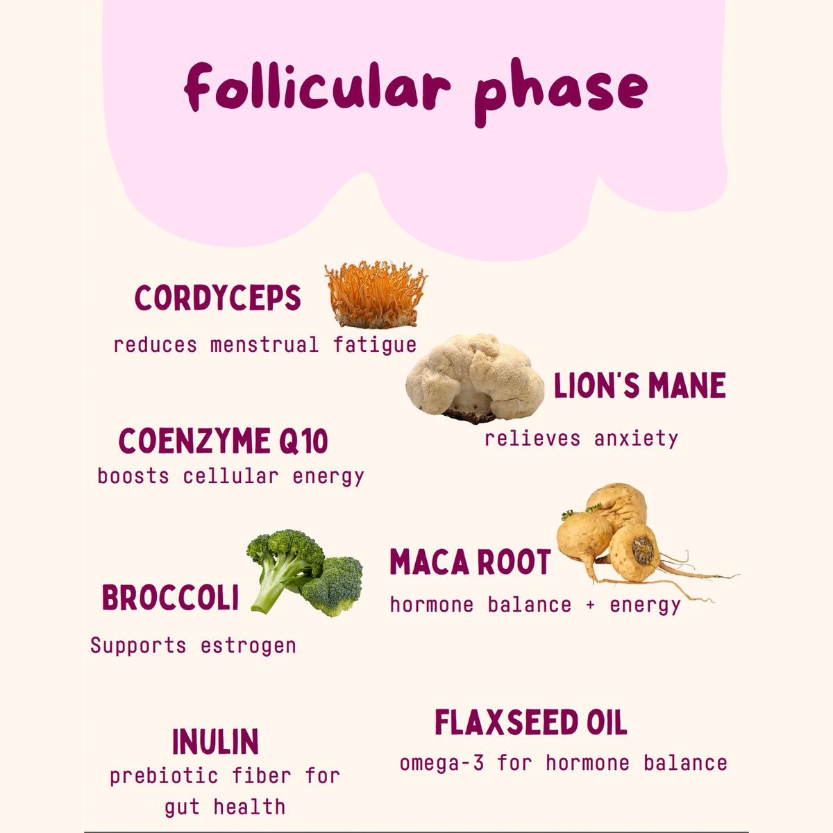 Baker's Botanics Follicular Phase Replacement Bags