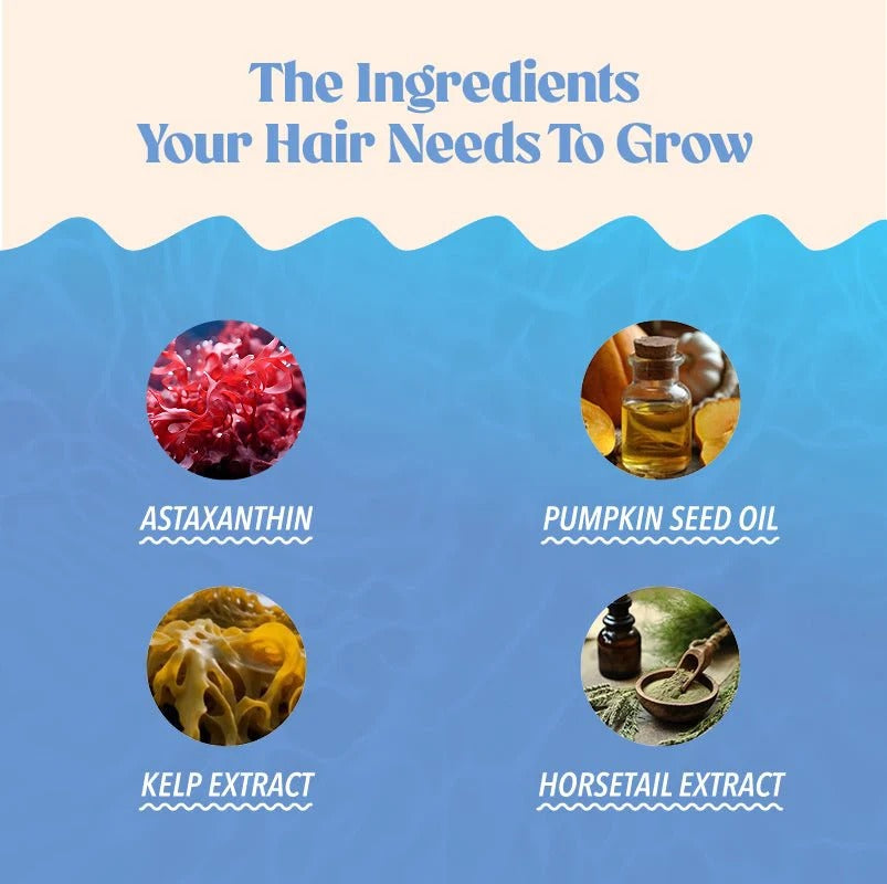 Key ingredients in Akasha Superfoods GROW Hair Gummies including Astaxanthin, Pumpkin Seed Oil, Sea Kelp, and Horsetail Extract