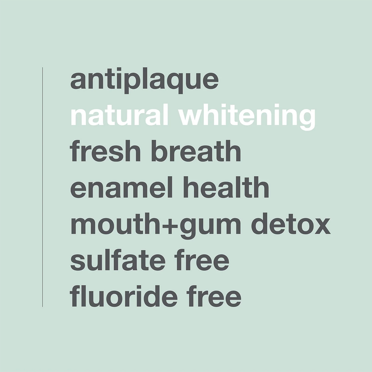 Davids Premium Toothpaste (Spearmint)