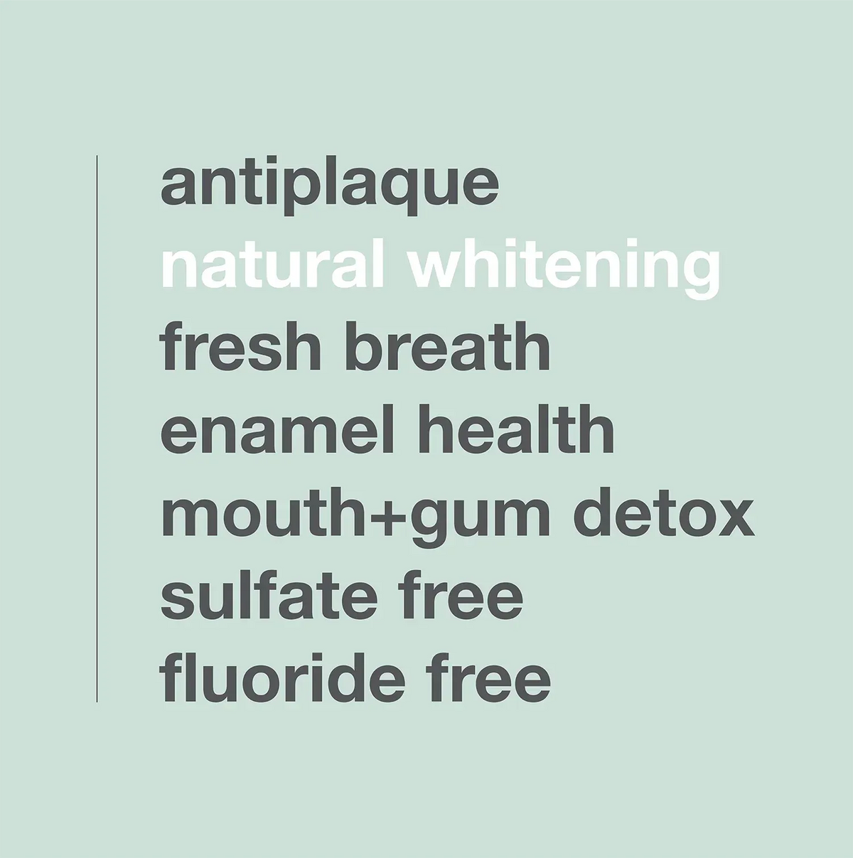 Davids Premium Toothpaste (Charcoal+Peppermint)