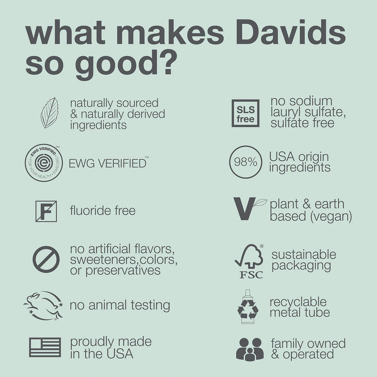 Davids Premium Toothpaste (Spearmint)