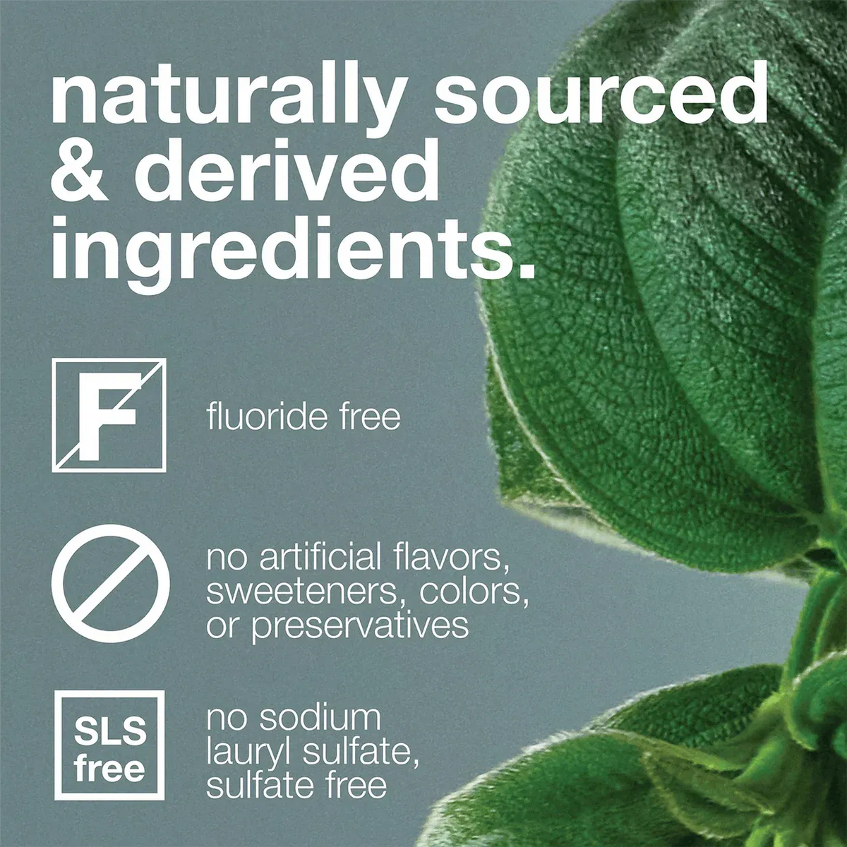 Davids Premium Toothpaste (Herbal Citrus Peppermint)