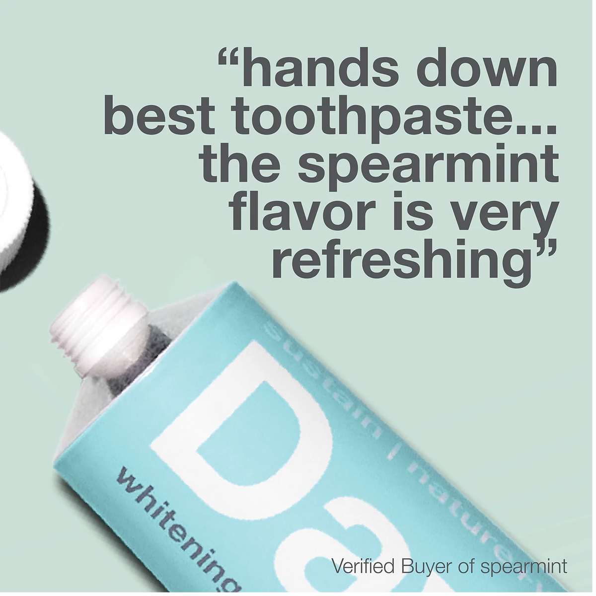 Davids Premium Toothpaste (Spearmint)