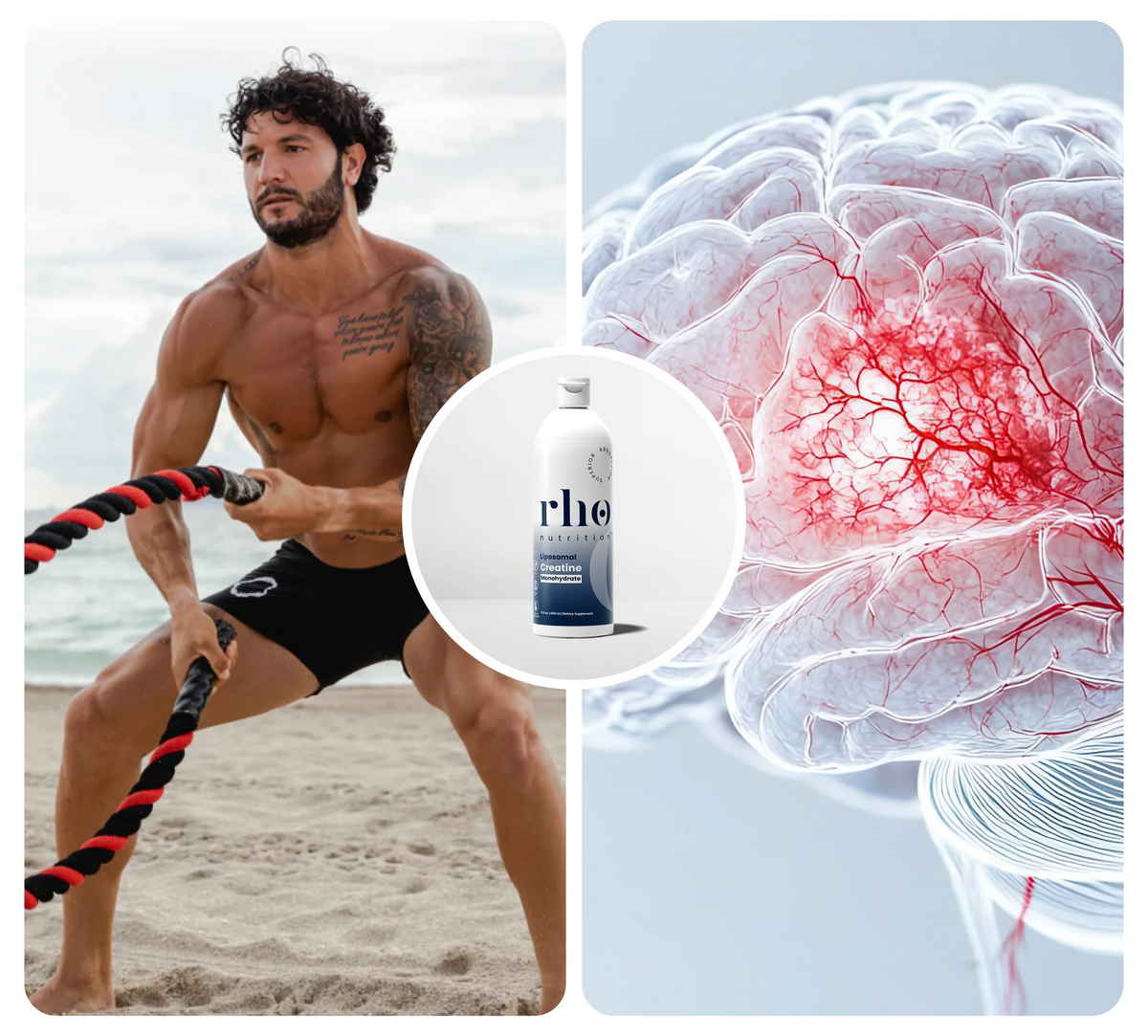 Rho Nutrition Liposomal Creatine Monohydrate supports Strength, Recovery and Cognitive Function