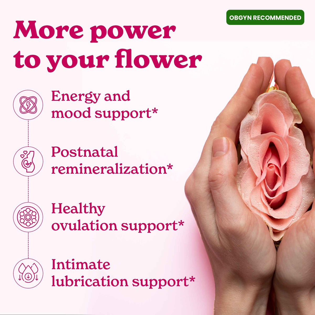 BetterAlt She Lajit honey sticks product benefits