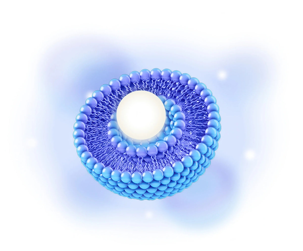Rho Nutrition liposomal technology for enhanced nutrient absorption