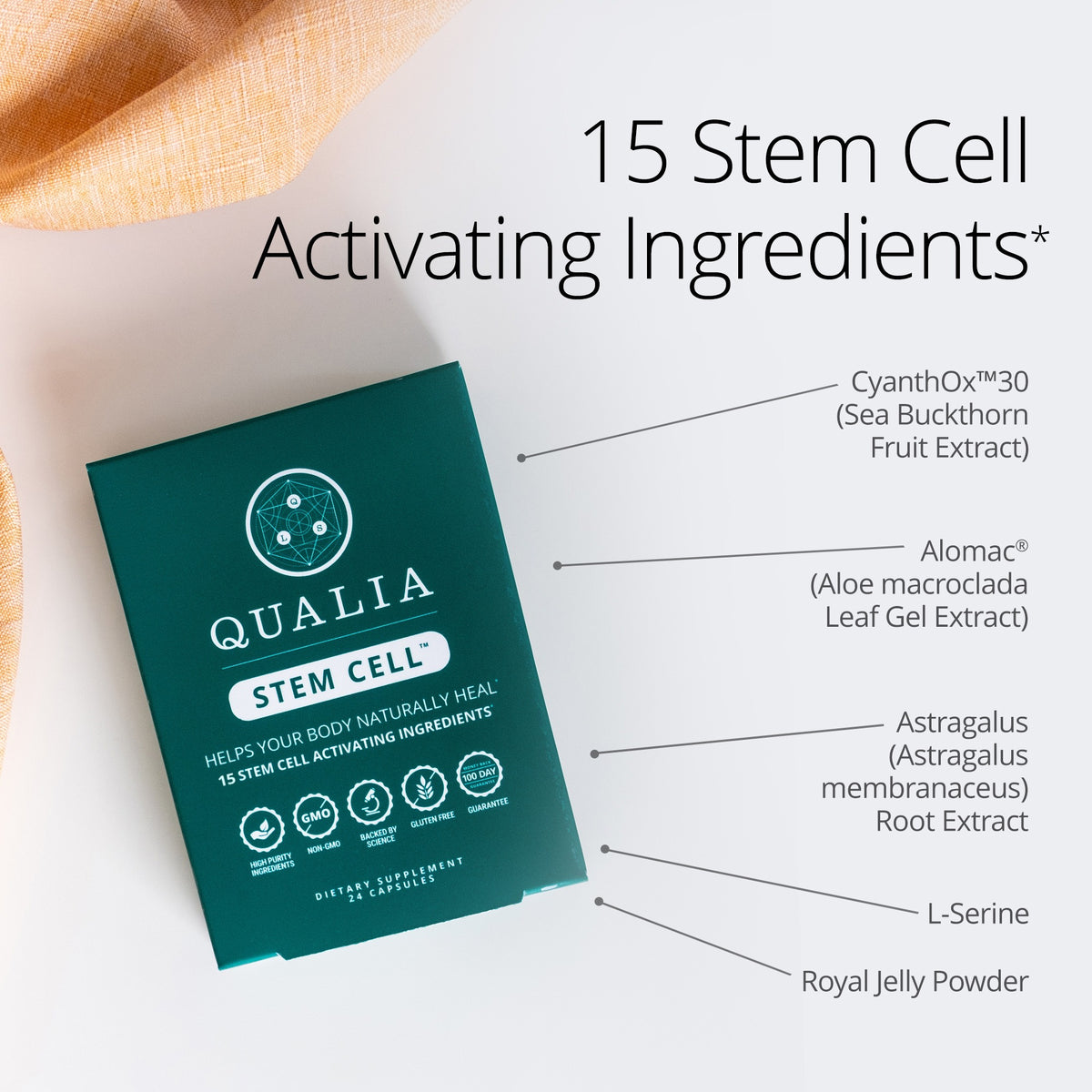 Qualia Stem Cell™ - Stem Cell Support for Renewal & Repair