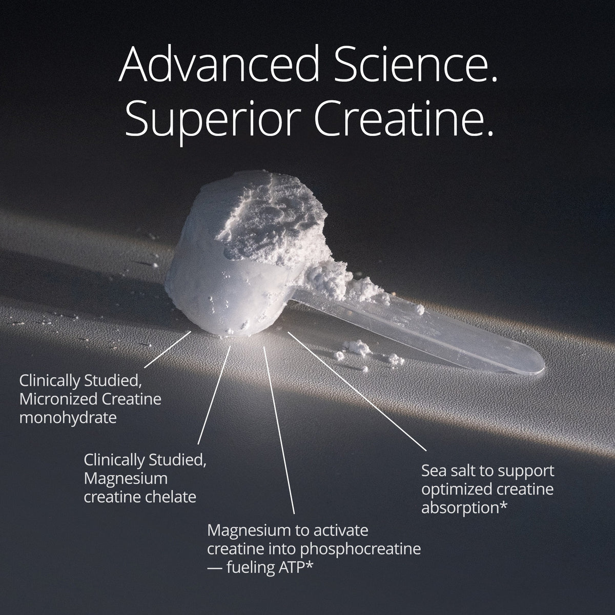 Qualia Creatine+ - Advanced Creatine Complex For Muscle and Brain Health