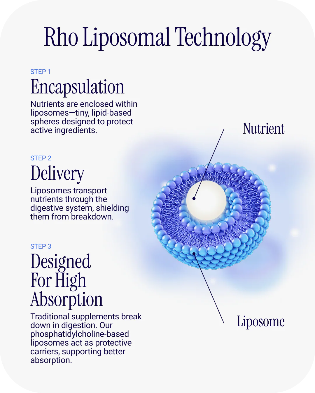 Rho Nutrition liposomal technology for enhanced nutrient absorption