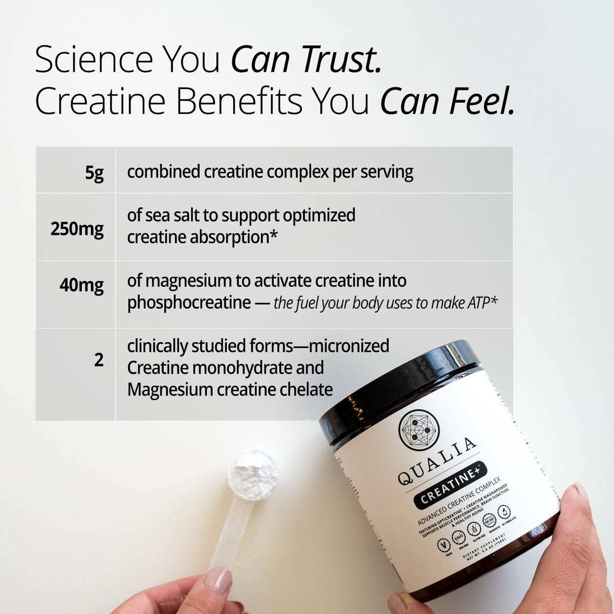 Qualia Creatine+ - Advanced Creatine Complex For Muscle and Brain Health