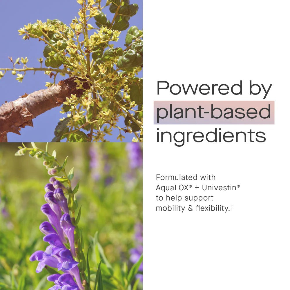 Mobility Chews powered by plant-based ingredients for joint flexibility and comfort