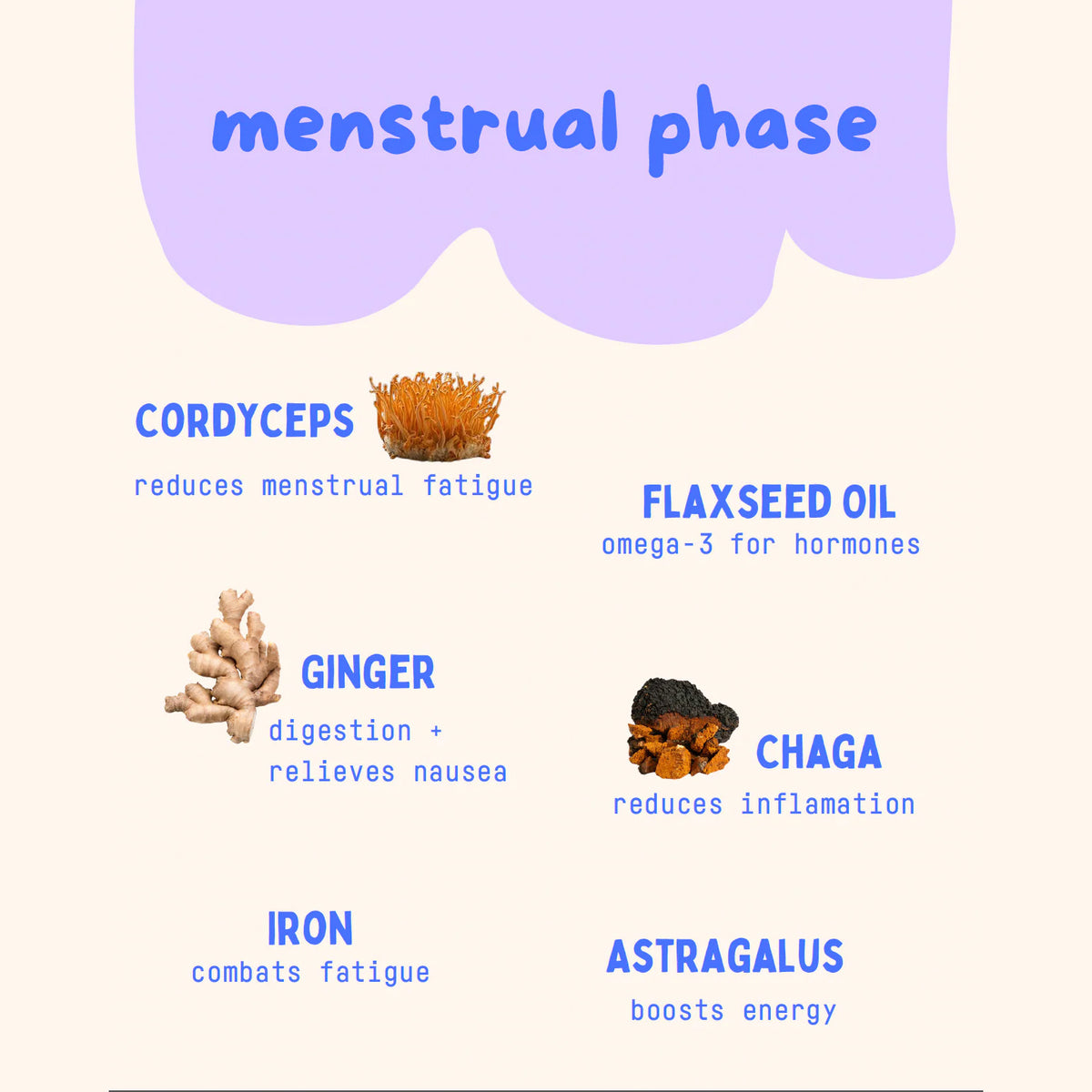 Baker's Botanics Menstrual Phase Replacement Bags
