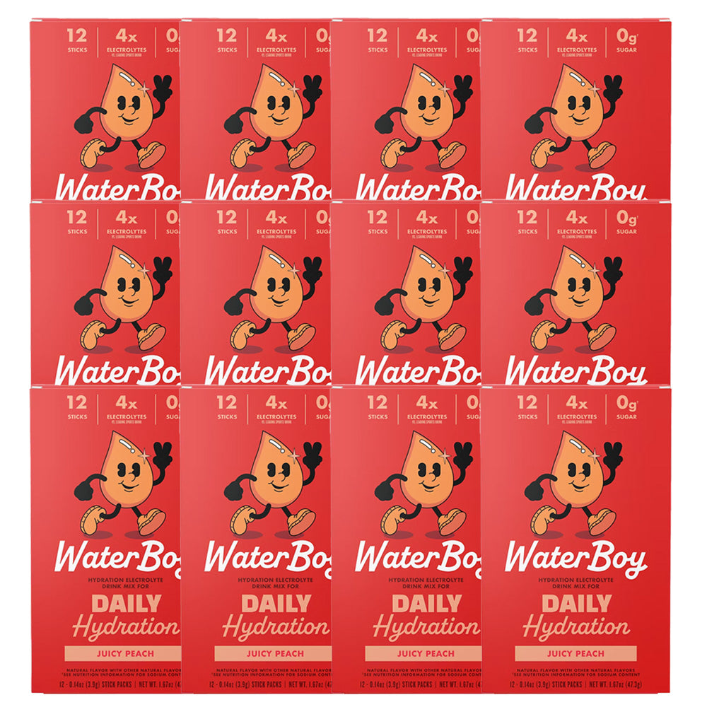 Waterboy Daily Hydration Electrolyte Drink Mix - 12 Sticks (Juicy Peach)