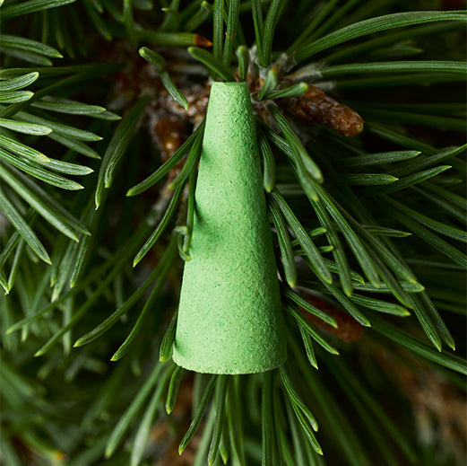 HOUSEPLANT by ripple⁺ Home Incense Droplets (Curated by Seth Rogen)