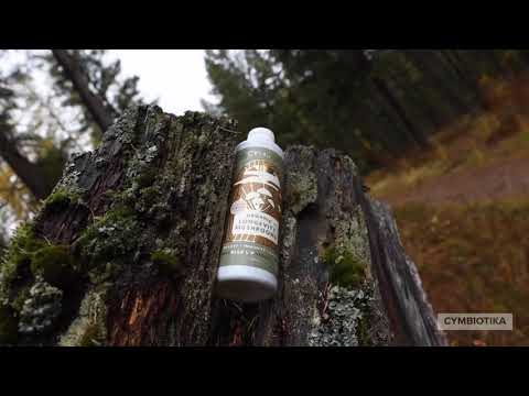 Cymbiotika® Longevity Mushrooms