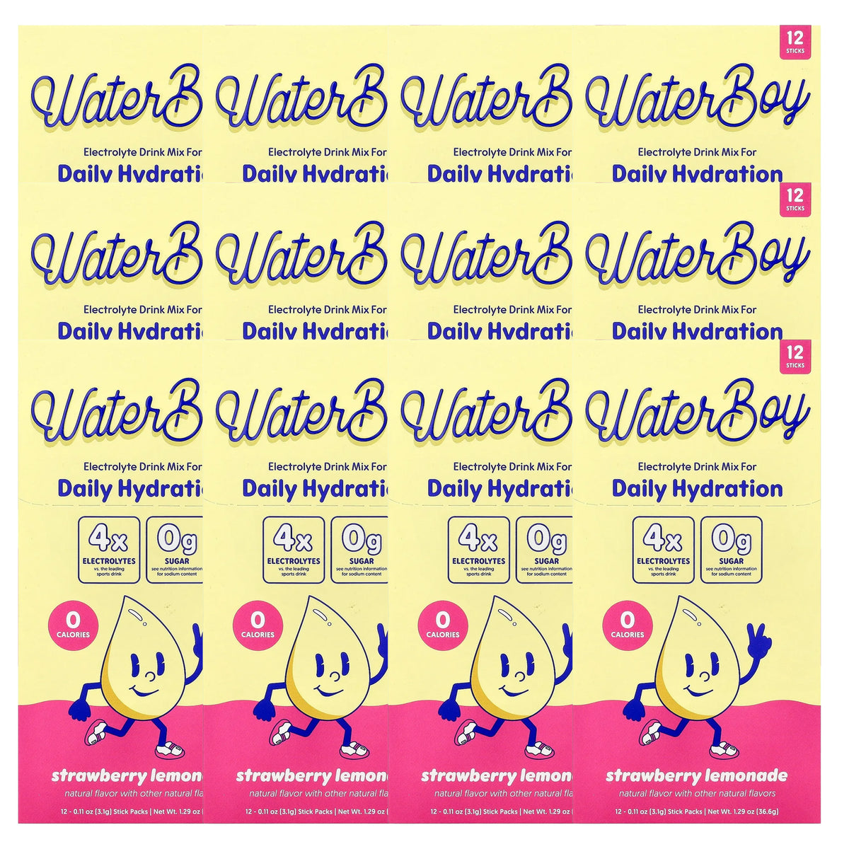 Waterboy Daily Hydration Electrolyte Drink Mix - 12 Sticks (Strawberry Lemonade)
