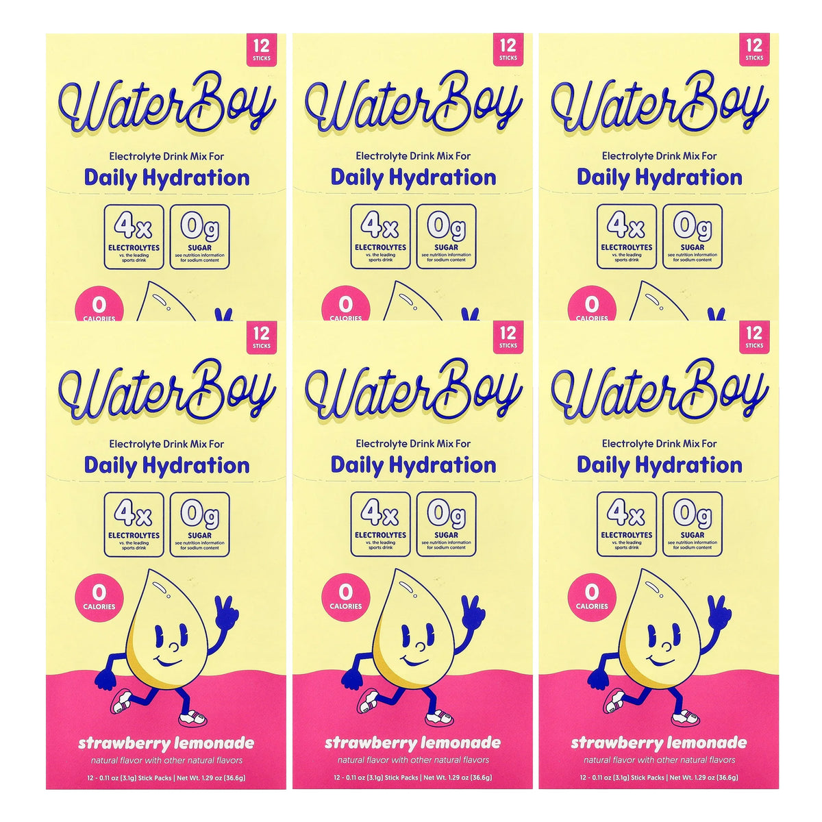 Waterboy Daily Hydration Electrolyte Drink Mix - 12 Sticks (Strawberry Lemonade)