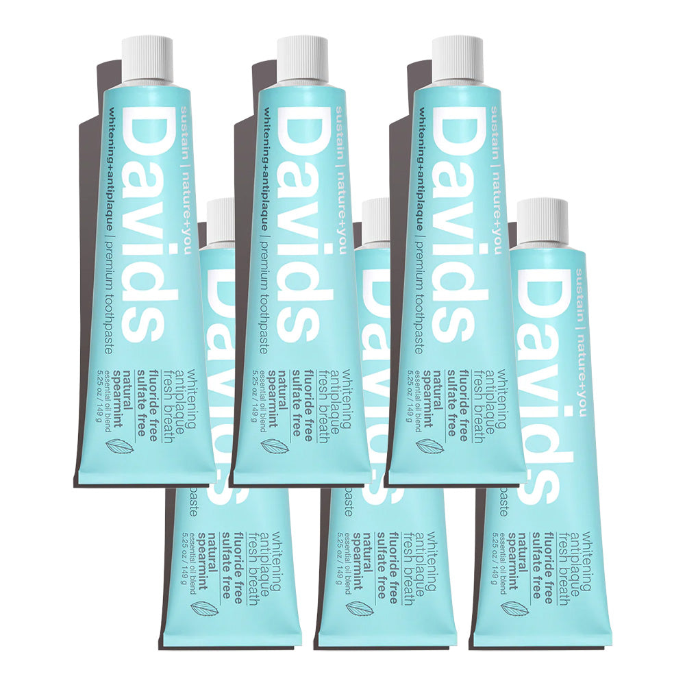 Davids Premium Toothpaste (Spearmint)