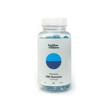 CBD Day Gummies